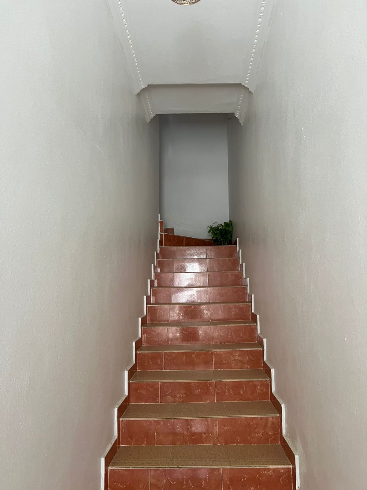 منزل عدلي للبيع في سبت الزينات (الخرب)